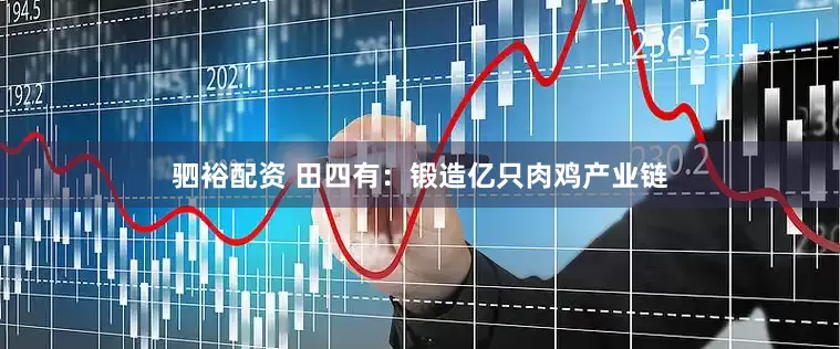 驷裕配资 田四有：锻造亿只肉鸡产业链